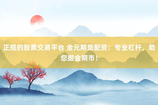正规的股票交易平台 金元期货配资：专业杠杆，助您掘金期市！