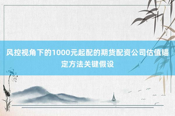 风控视角下的1000元起配的期货配资公司估值锚定方法关键假设