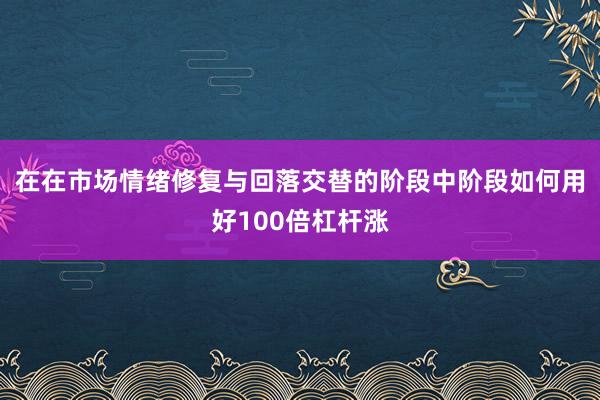 在在市场情绪修复与回落交替的阶段中阶段如何用好100倍杠杆涨