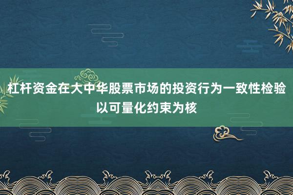 杠杆资金在大中华股票市场的投资行为一致性检验以可量化约束为核