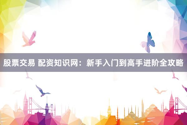 股票交易 配资知识网：新手入门到高手进阶全攻略