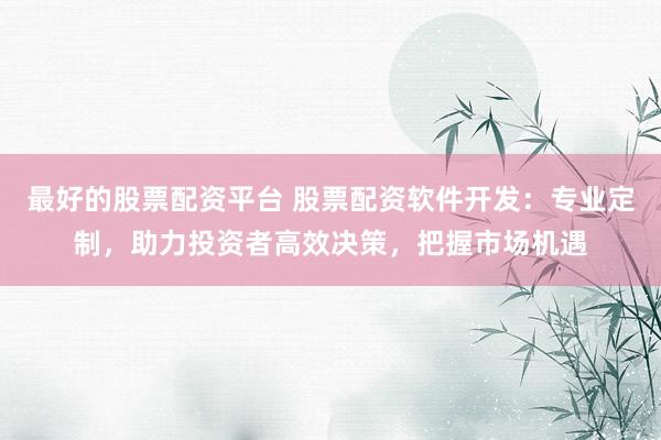 最好的股票配资平台 股票配资软件开发：专业定制，助力投资者高效决策，把握市场机遇